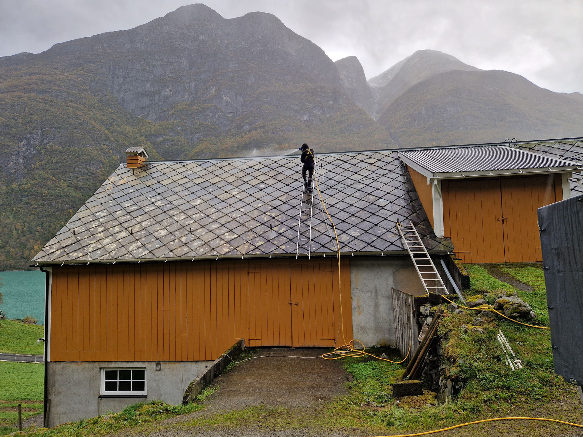 Takvask av låve under