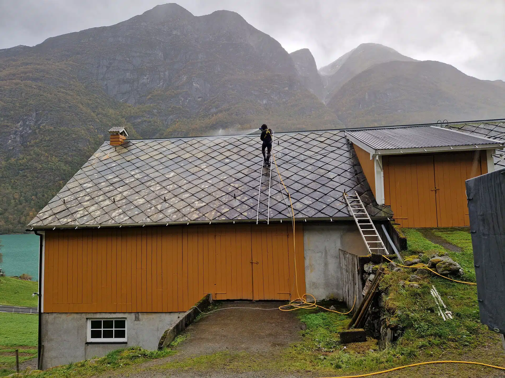 Takvask av låve under